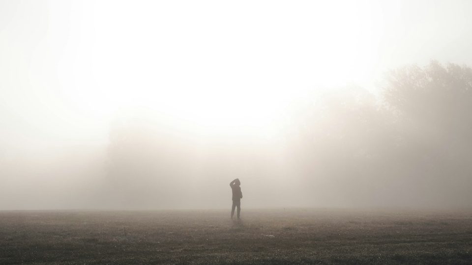 Dense fog lying over open ground, nothing visible through it.