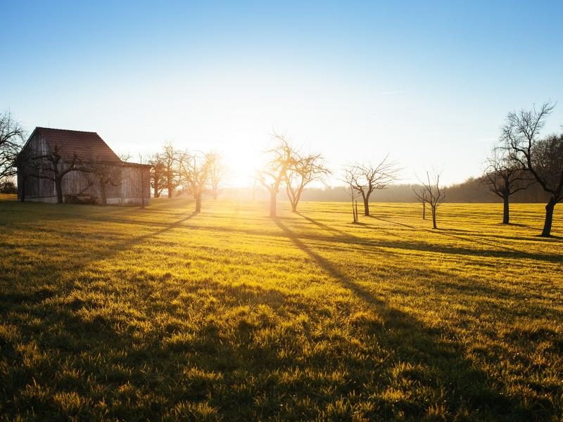 Low sun over a pasture at sunrise, with a red barn and bare trees on the horizon.