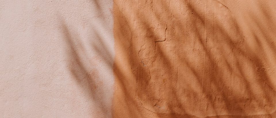 A wall divided into beige and terracotta, with the shadow of leaves across it.